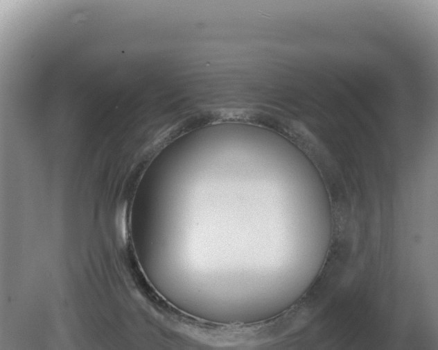 X0000081460028200701191751
