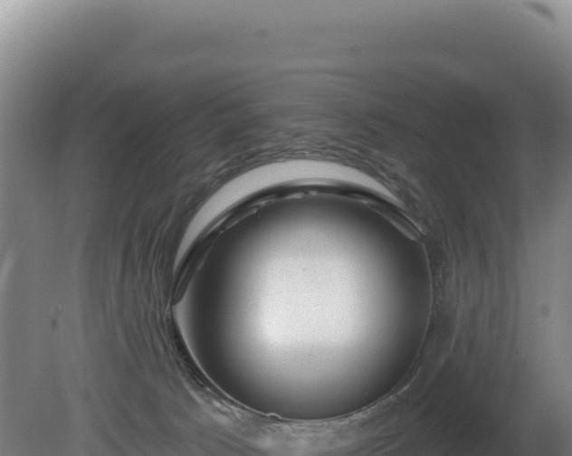 X0000081460033200701191751
