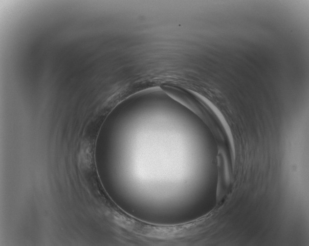 X0000081460037200701191751