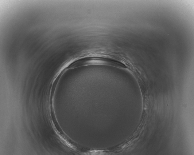 X0000081460052200701191750