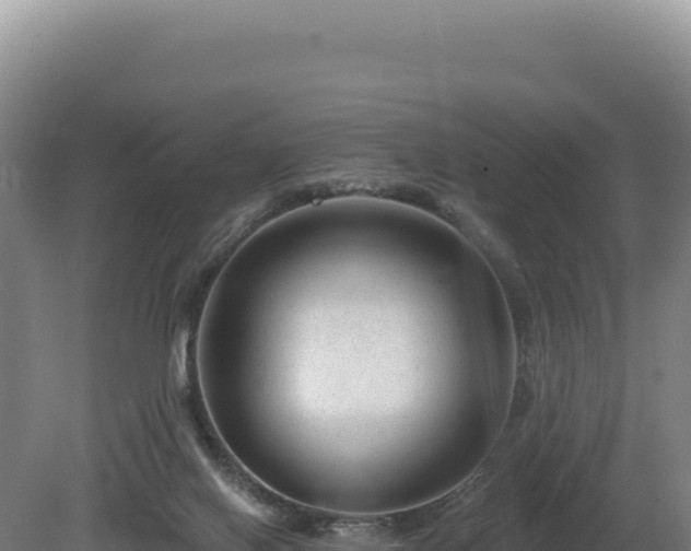 X0000081460070200701191750