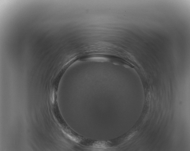 X0000081460076200701191751