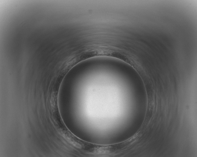 X0000081460078200701191751