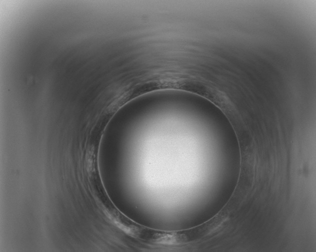 X0000081460083200701191751