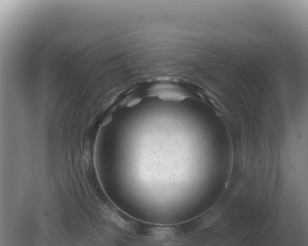 X0000081460085200701191751