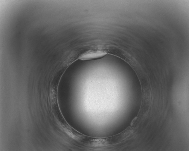 X0000081460087200701191751
