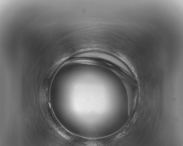 X0000081460105200701191750