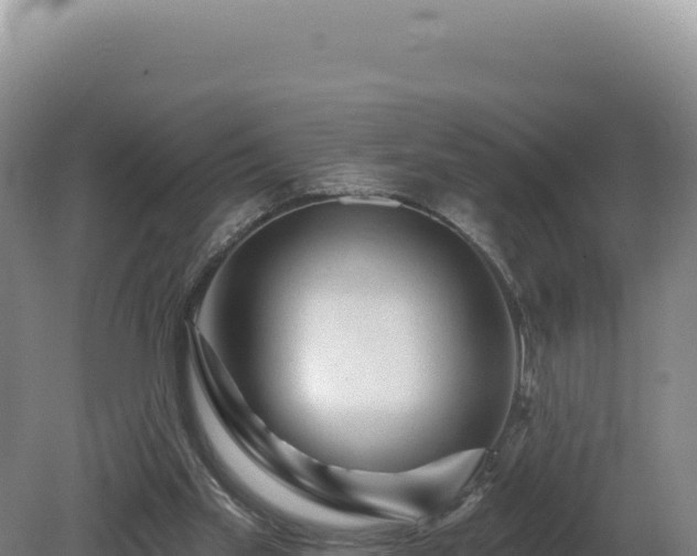 X0000081460109200701191750