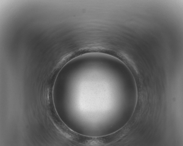 X0000081460115200701191750