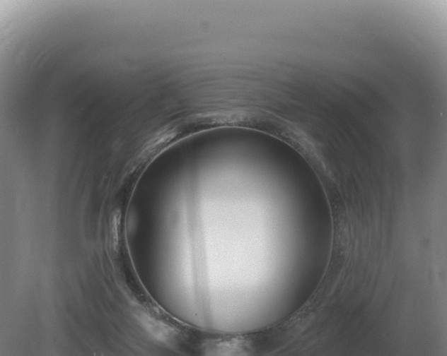 X0000081460118200701191750