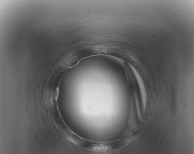 X0000081460125200701191750
