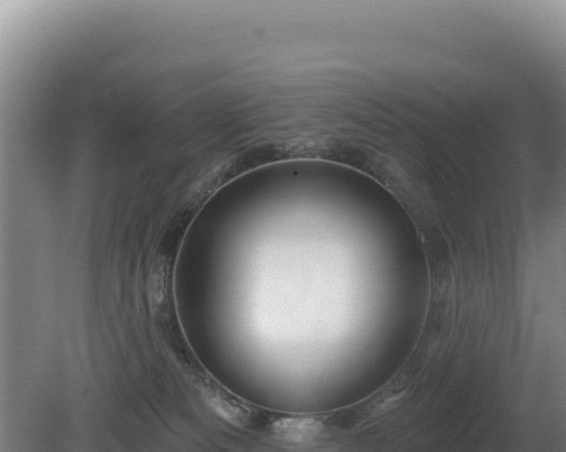 X0000081460133200701191749