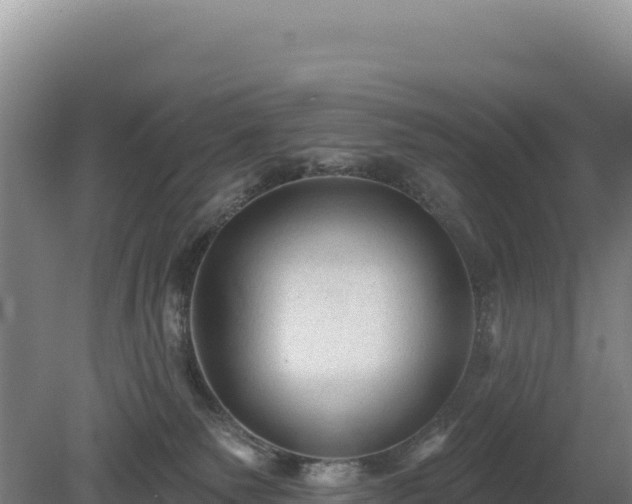 X0000081460135200701191749
