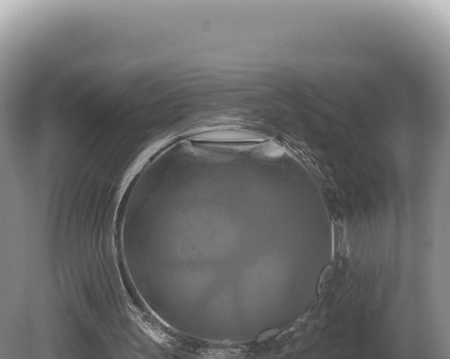 X0000081460147200701191748