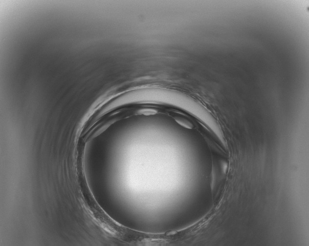 X0000081460150200701191749