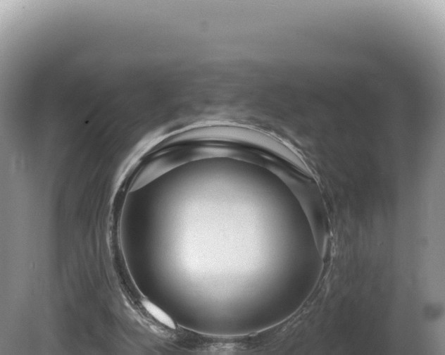 X0000081460152200701191749