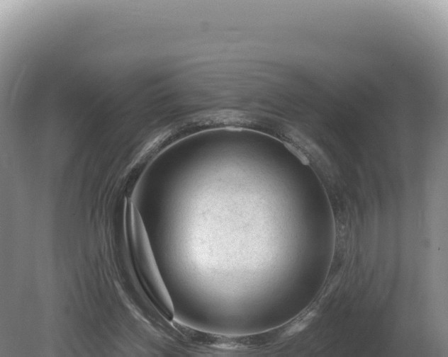 X0000081460158200701191749