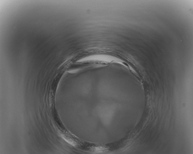 X0000081460165200701191749