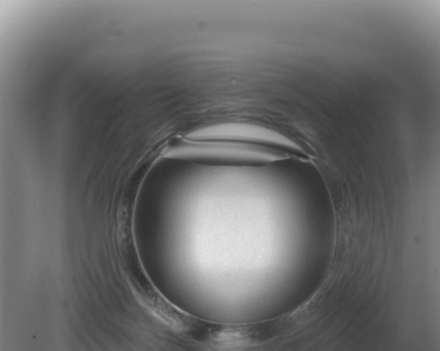 X0000081460171200701191749