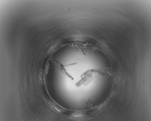 X0000081460175200701191749