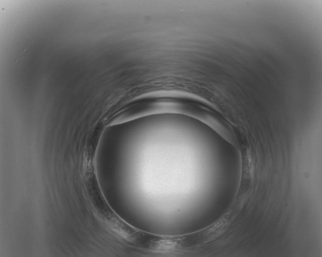 X0000081460176200701191749