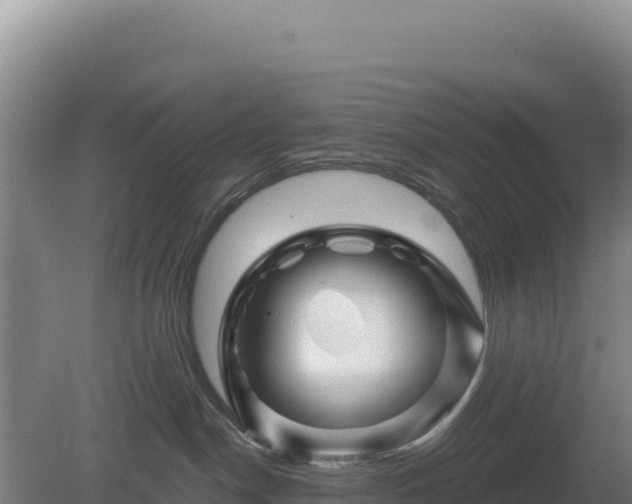 X0000081460190200701191749