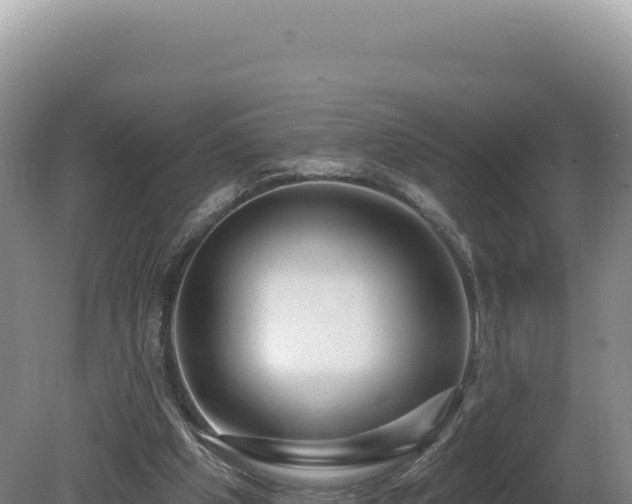 X0000081460201200701191748