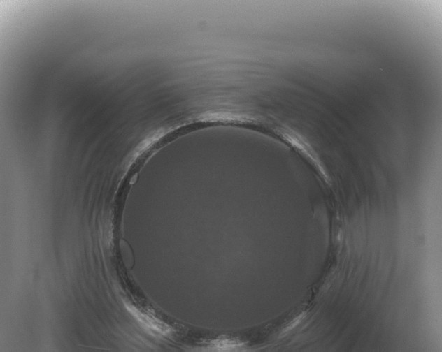 X0000081460204200701191748