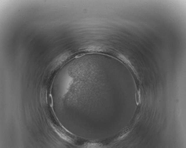X0000081460205200701191748