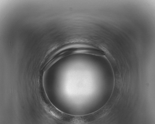 X0000081460207200701191748