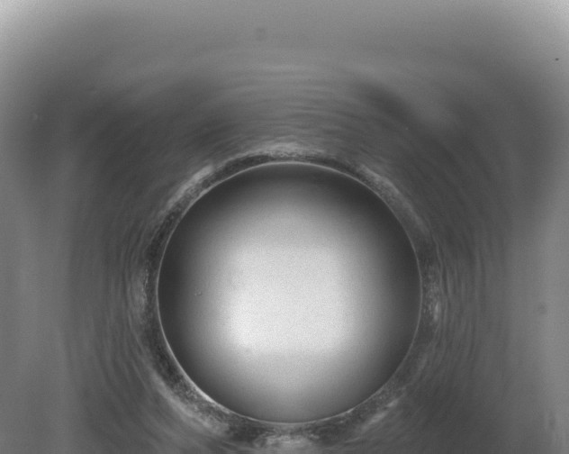 X0000081460208200701191748