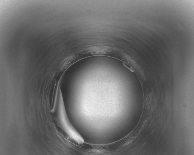 X0000081460209200701191748