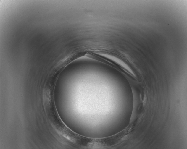 X0000081460211200701191748