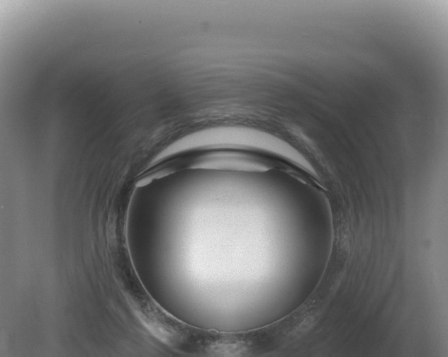 X0000081460213200701191748