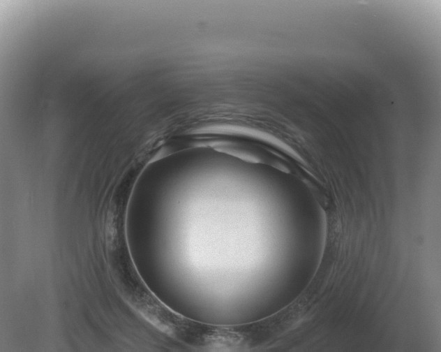 X0000081460215200701191748