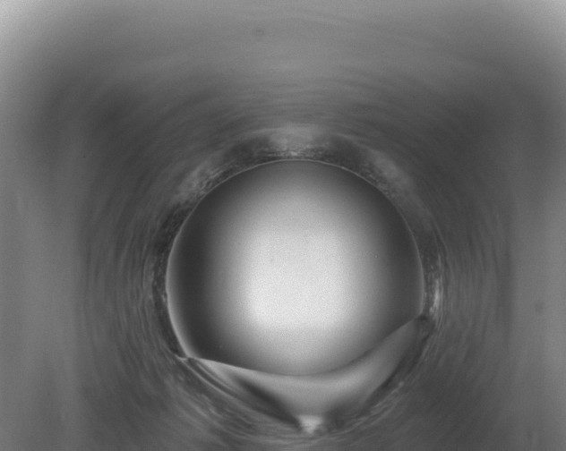 X0000081460221200701191748
