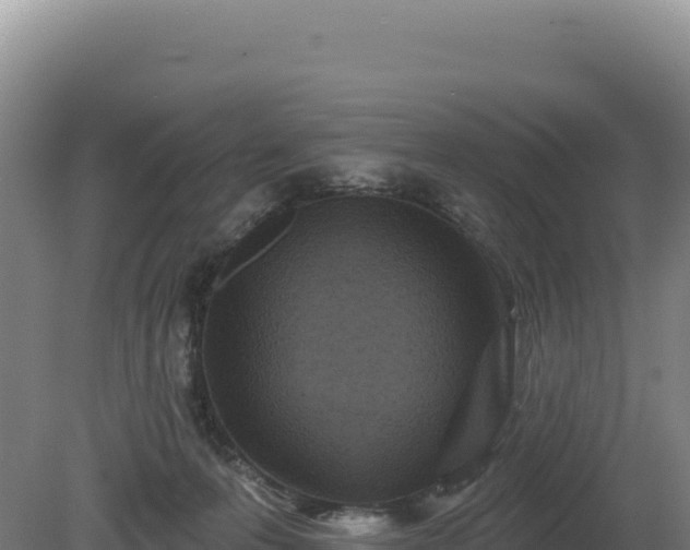 X0000081460223200701191748