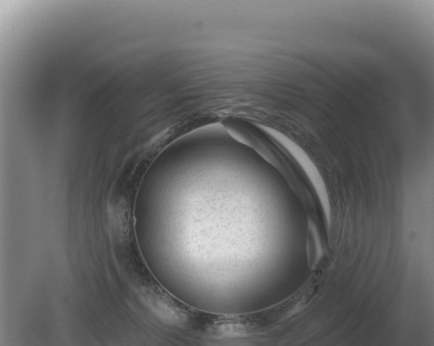 X0000081460228200701191748