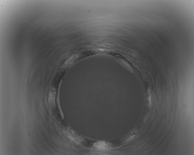 X0000081460231200701191748