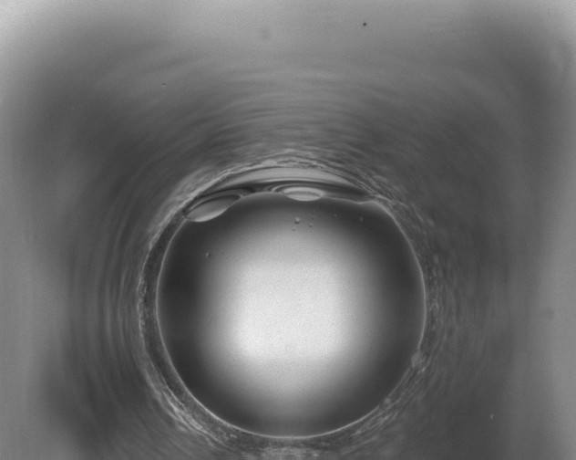 X0000081460242200701191747