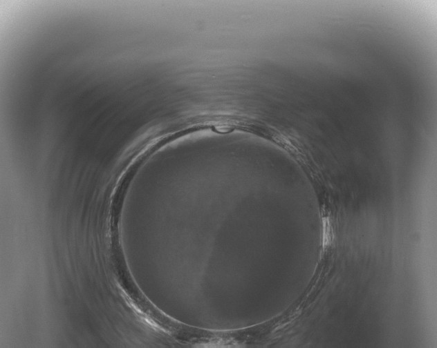 X0000081460243200701191747