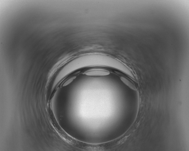 X0000081460245200701191747