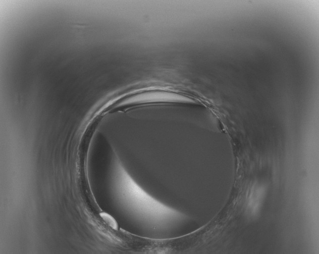 X0000081460247200701191747
