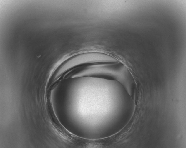 X0000081460248200701191747