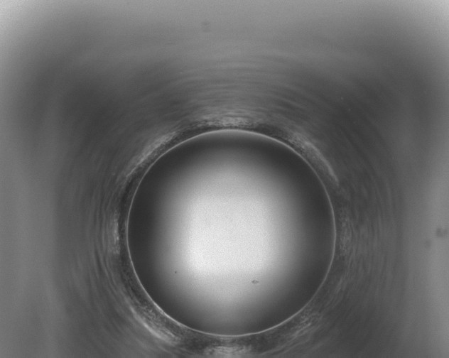 X0000081460251200701191747