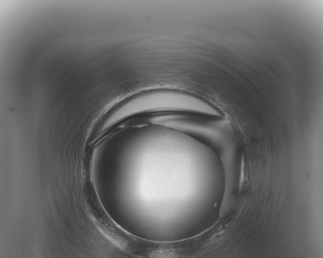 X0000081460252200701191747