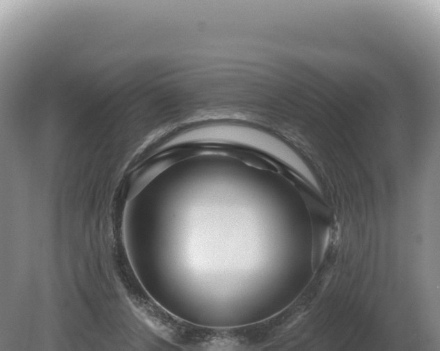 X0000081460256200701191747