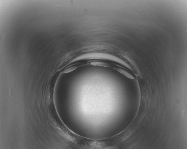 X0000081460261200701191747