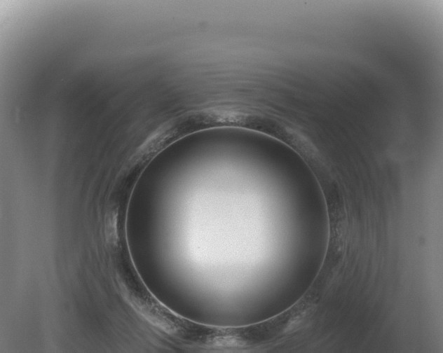 X0000081460262200701191747