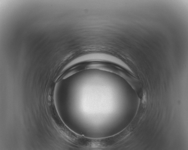 X0000081460264200701191747
